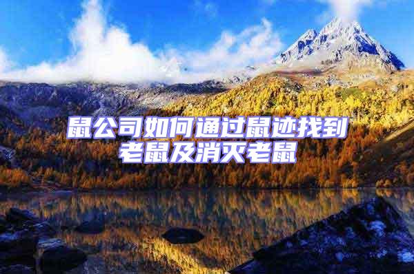 鼠公司如何通過鼠跡找到老鼠及消滅老鼠