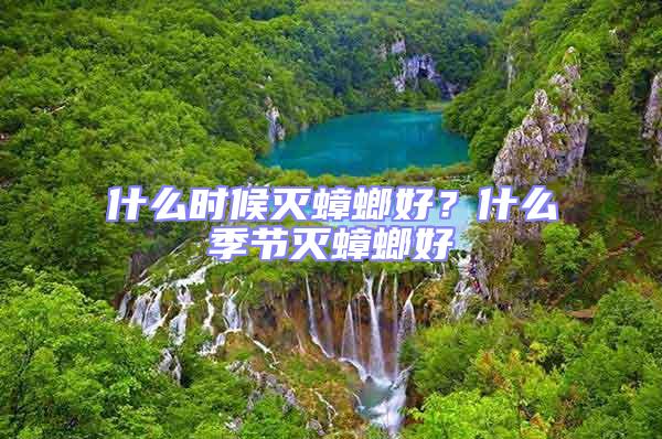 什么時候滅蟑螂好？什么季節滅蟑螂好