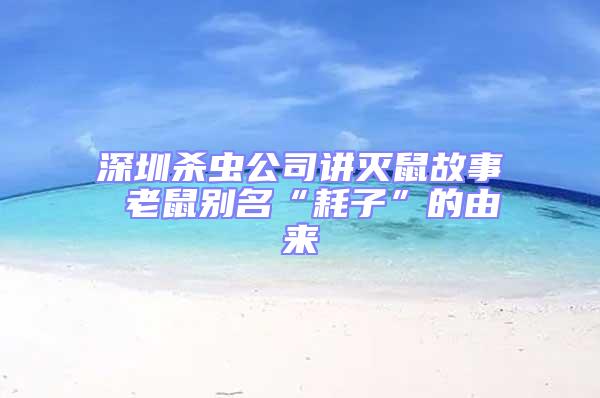 深圳殺蟲公司講滅鼠故事 老鼠別名“耗子”的由來