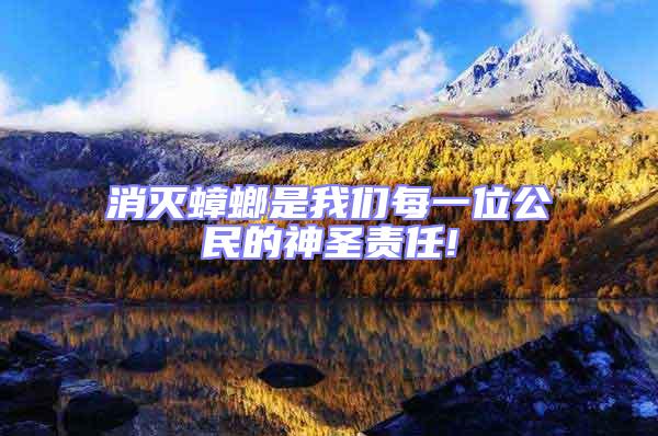 消滅蟑螂是我們每一位公民的神圣責任!