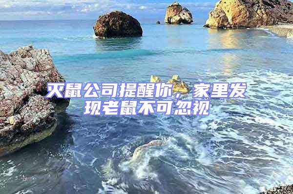 滅鼠公司提醒你，家里發現老鼠不可忽視