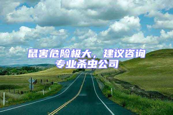 鼠害危險極大，建議咨詢專業殺蟲公司