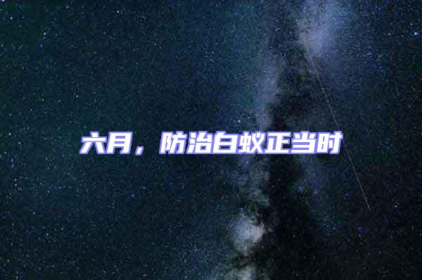 六月，防治白蟻正當時