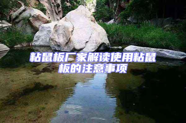 粘鼠板廠家解讀使用粘鼠板的注意事項(xiàng)