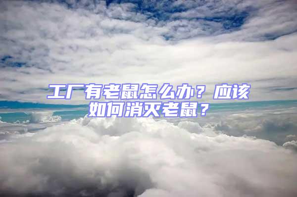 工廠有老鼠怎么辦？應(yīng)該如何消滅老鼠？