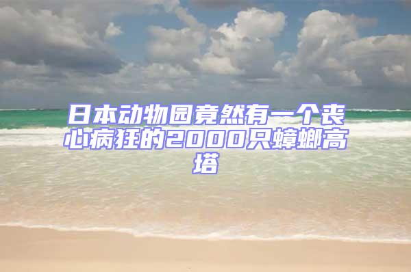 日本動物園竟然有一個喪心病狂的2000只蟑螂高塔