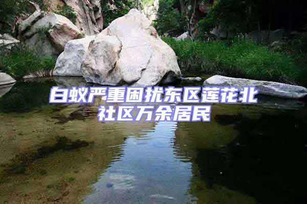 白蟻嚴重困擾東區蓮花北社區萬余居民