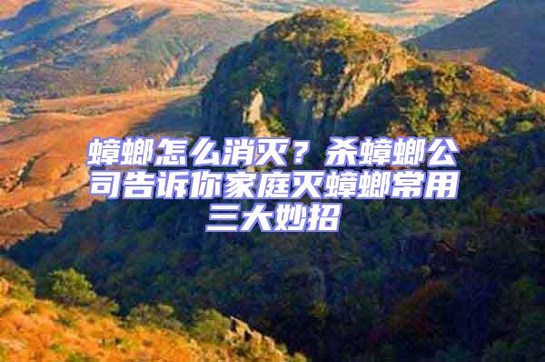 蟑螂怎么消滅？殺蟑螂公司告訴你家庭滅蟑螂常用三大妙招