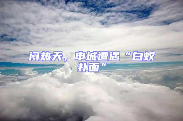 悶熱天，申城遭遇“白蟻撲面”