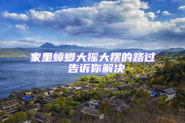 家里蟑螂大搖大擺的路過(guò) 告訴你解決