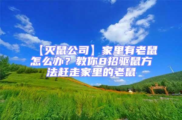 【滅鼠公司】家里有老鼠怎么辦？教你8招驅(qū)鼠方法趕走家里的老鼠