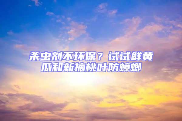殺蟲劑不環保？試試鮮黃瓜和新摘桃葉防蟑螂