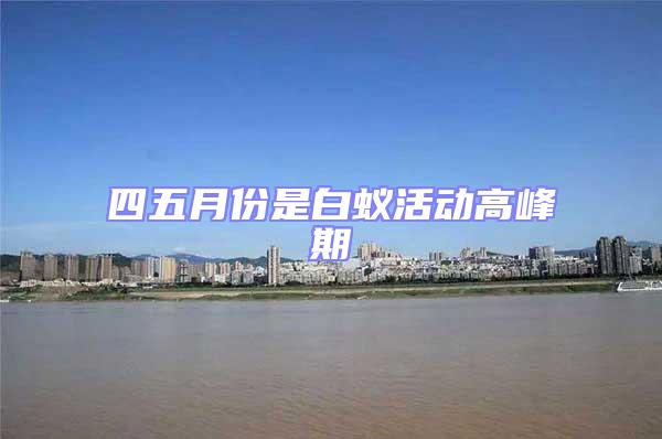 四五月份是白蟻活動高峰期