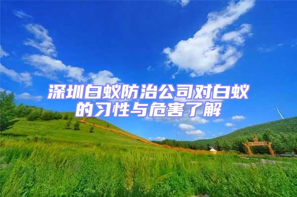 深圳白蟻防治公司對白蟻的習性與危害了解