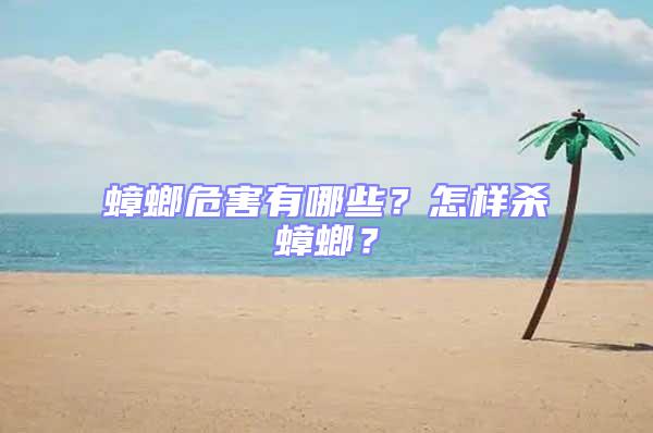 蟑螂危害有哪些？怎樣殺蟑螂？