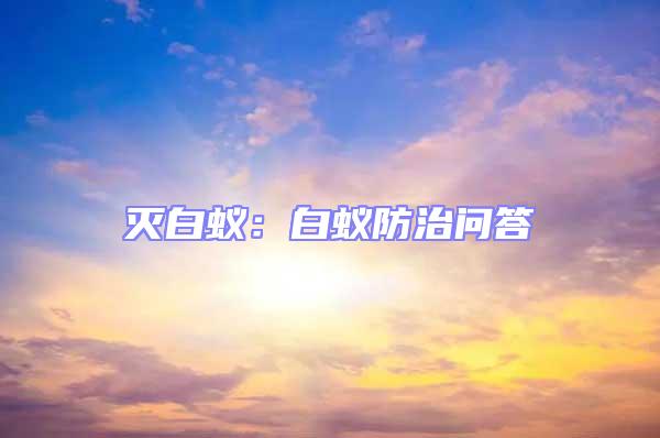 滅白蟻：白蟻防治問答