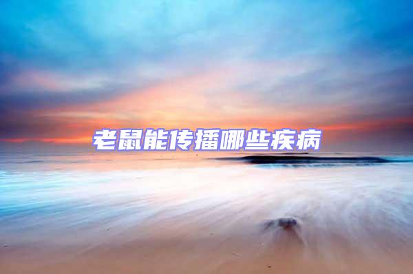 老鼠能傳播哪些疾病