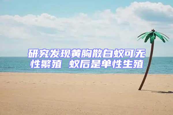 研究發現黃胸散白蟻可無性繁殖 蟻后是單性生殖