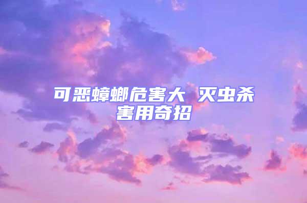 可惡蟑螂危害大 滅蟲殺害用奇招