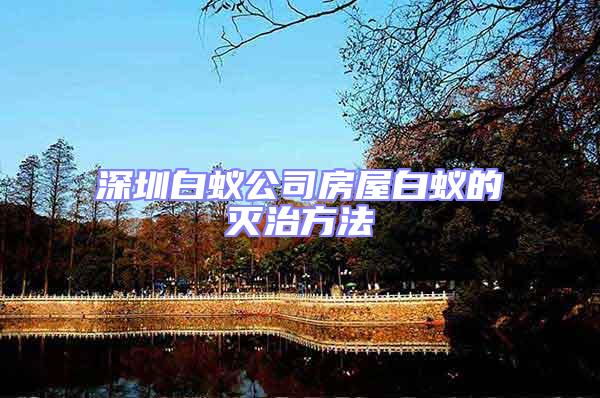 深圳白蟻公司房屋白蟻的滅治方法