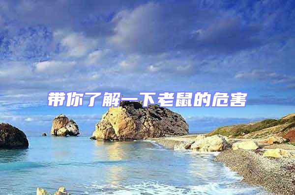 帶你了解一下老鼠的危害