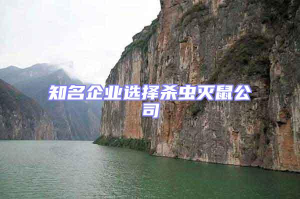 知名企業(yè)選擇殺蟲滅鼠公司