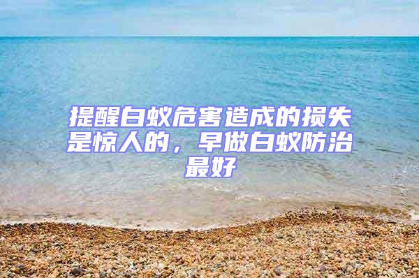 提醒白蟻危害造成的損失是驚人的，早做白蟻防治最好
