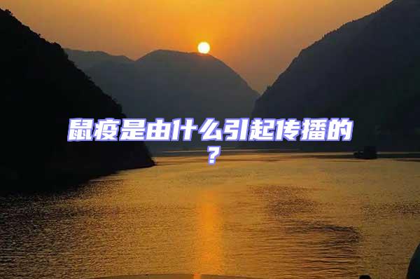 鼠疫是由什么引起傳播的？