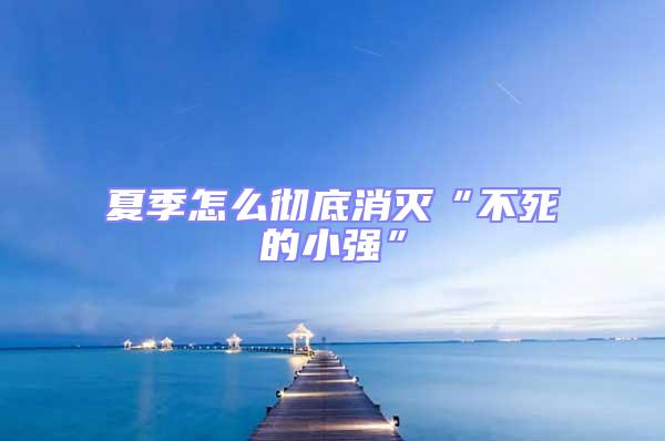 夏季怎么徹底消滅“不死的小強(qiáng)”