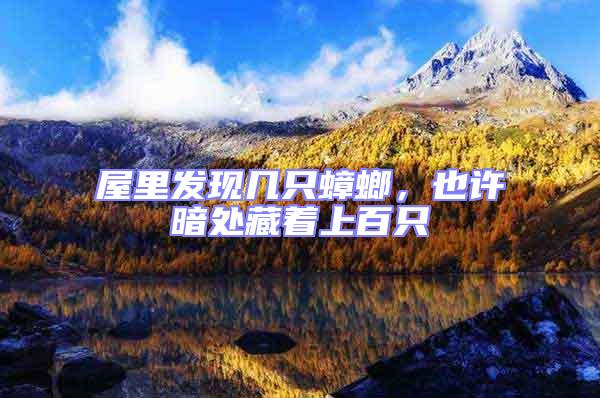 屋里發現幾只蟑螂，也許暗處藏著上百只