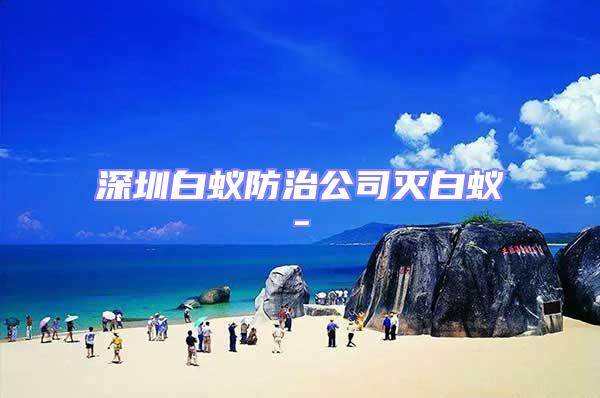 深圳白蟻防治公司滅白蟻-