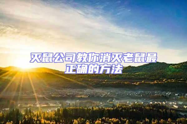 滅鼠公司教你消滅老鼠最正確的方法