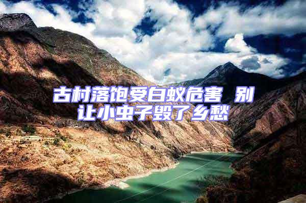 古村落飽受白蟻危害 別讓小蟲子毀了鄉愁
