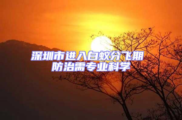 深圳市進入白蟻分飛期 防治需專業科學