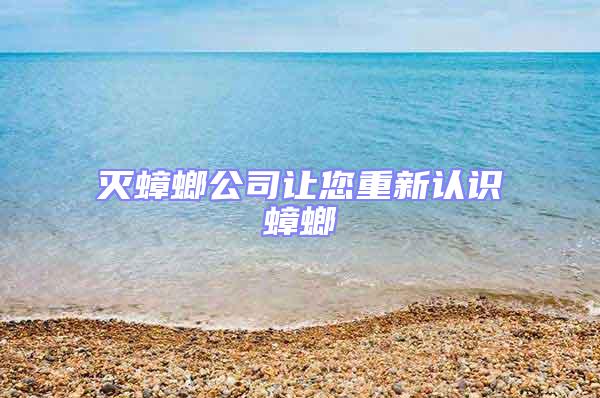 滅蟑螂公司讓您重新認(rèn)識(shí)蟑螂