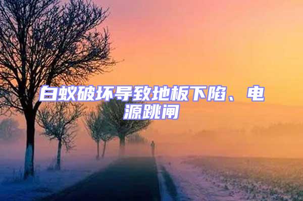 白蟻破壞導(dǎo)致地板下陷、電源跳閘