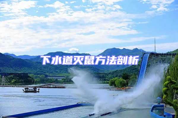 下水道滅鼠方法剖析