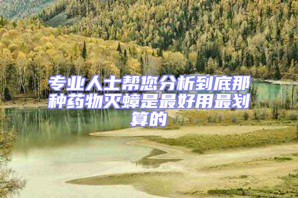 專業(yè)人士幫您分析到底那種藥物滅蟑是最好用最劃算的