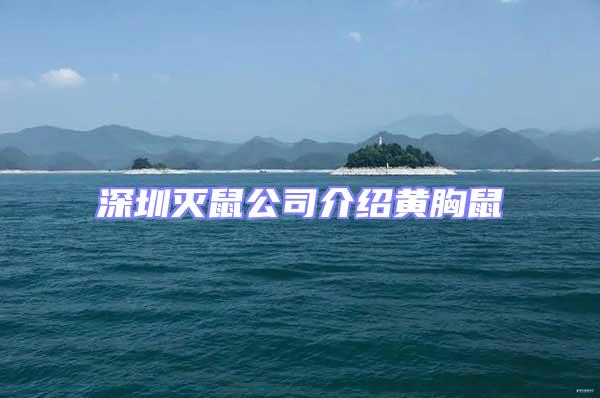 深圳滅鼠公司介紹黃胸鼠