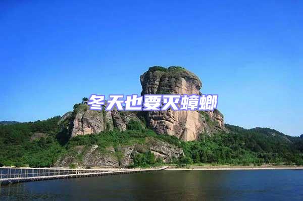 冬天也要滅蟑螂