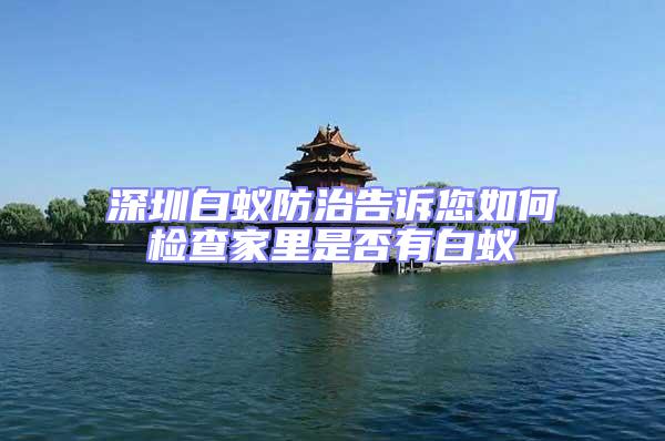 深圳白蟻防治告訴您如何檢查家里是否有白蟻