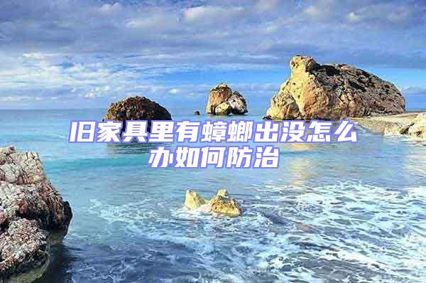 舊家具里有蟑螂出沒怎么辦如何防治