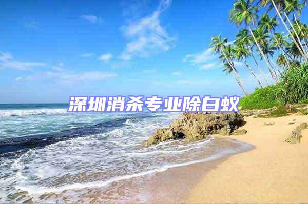 深圳消殺專業除白蟻