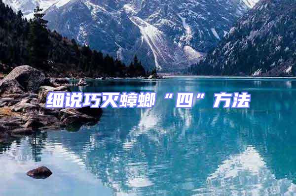 細說巧滅蟑螂“四”方法