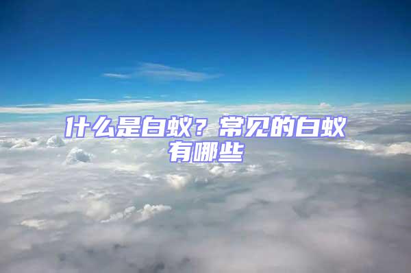 什么是白蟻？常見的白蟻有哪些