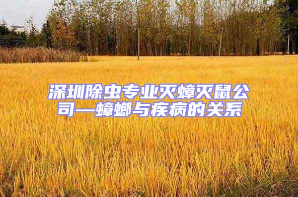 深圳除蟲專業滅蟑滅鼠公司—蟑螂與疾病的關系