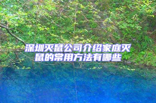 深圳滅鼠公司介紹家庭滅鼠的常用方法有哪些