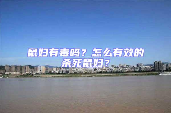 鼠婦有毒嗎？怎么有效的殺死鼠婦？