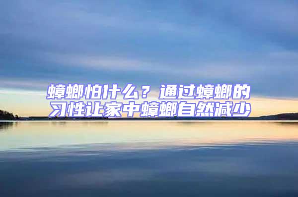 蟑螂怕什么？通過蟑螂的習(xí)性讓家中蟑螂自然減少