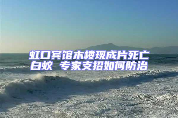 虹口賓館木樓現成片死亡白蟻 專家支招如何防治
